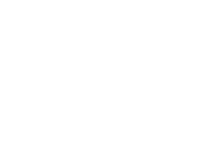 Vatech Logo white
